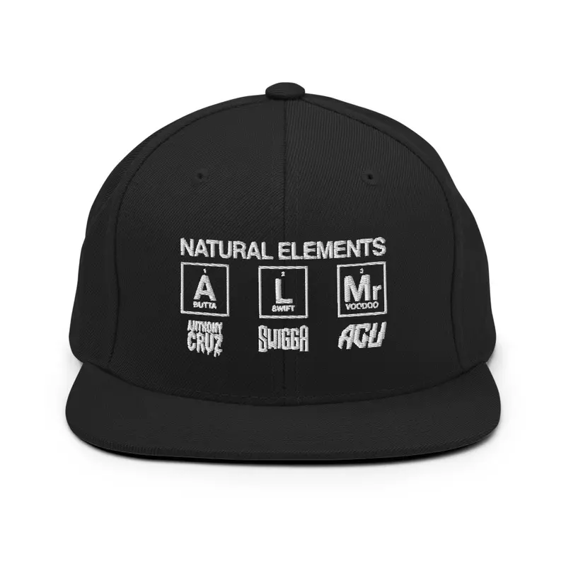 NE BLACK SNAP BACK