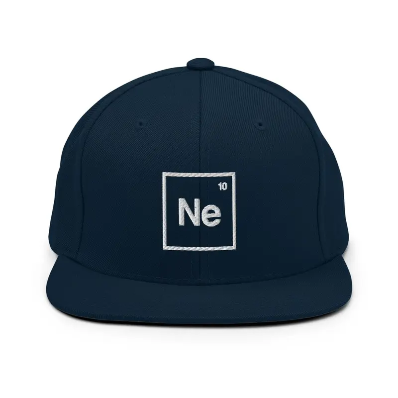 NE LOGO SNAPBACK